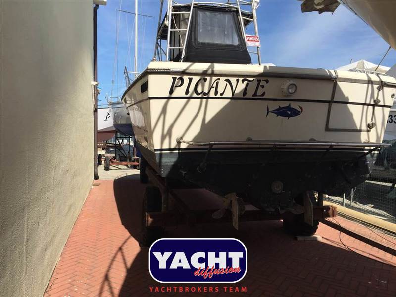 Robalo ROBALO 26 Cavin Walkaround Foto 6