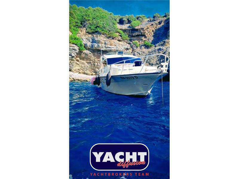 della pasqua DC 11 Foto 5