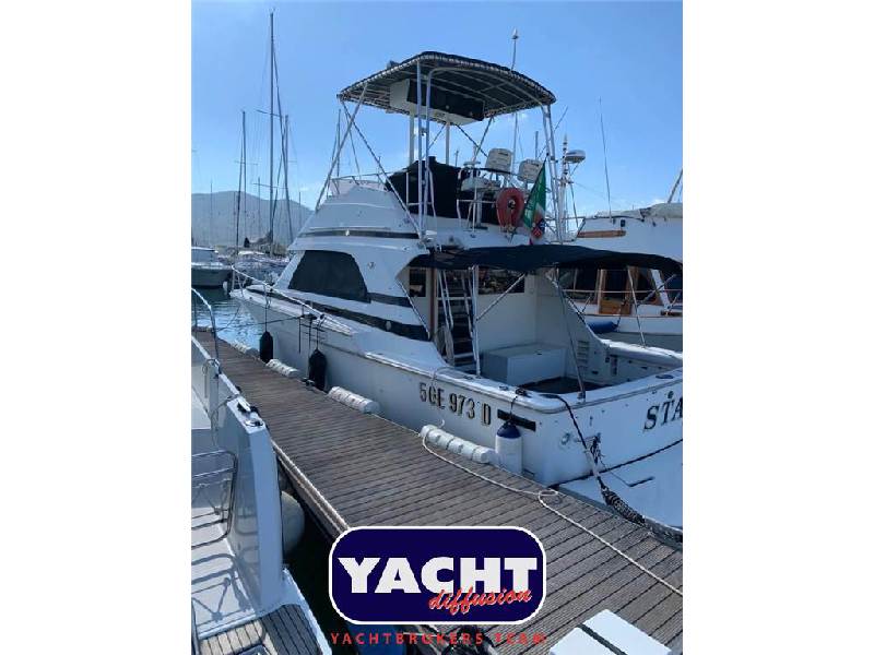 Bertram Yacht 37' Convertible Foto 2