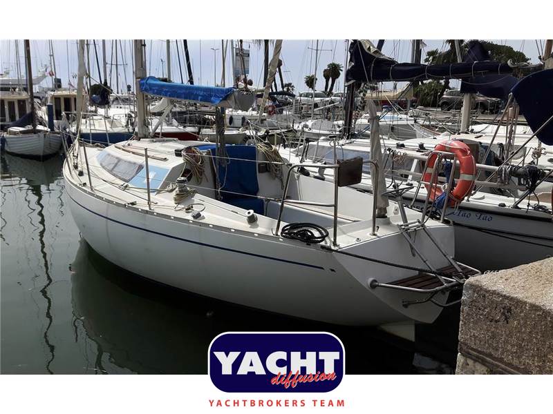 Mallard Mallard 9 Foto 8