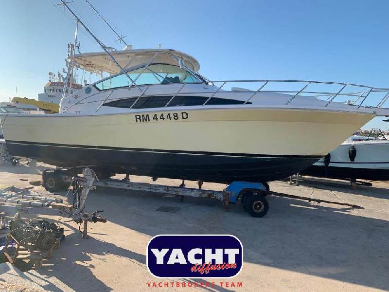 Bertram Yacht 360 Moppie Foto 18
