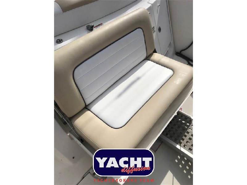 Sea Ray 335 DA Foto 14