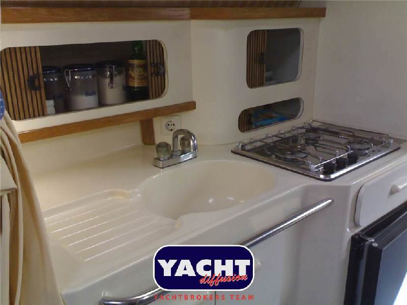 Sea Ray 290 DA Foto 3