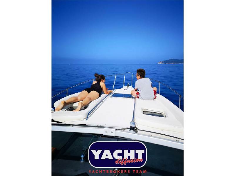 Sea Ray 290 DA Foto 9