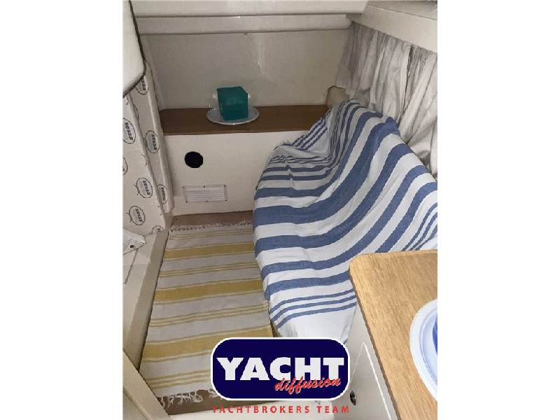 Sessa Marine SESSA C 35 Foto 14
