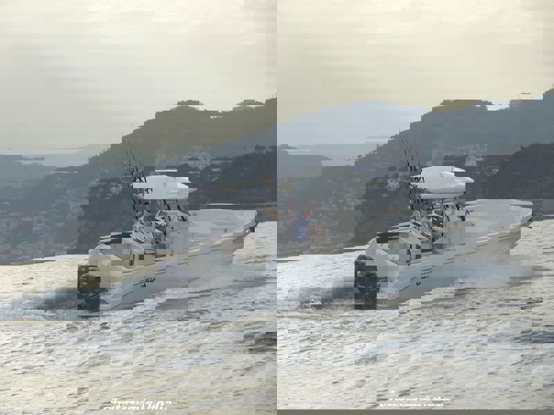 CAPELLI OSIA 315  Foto 2