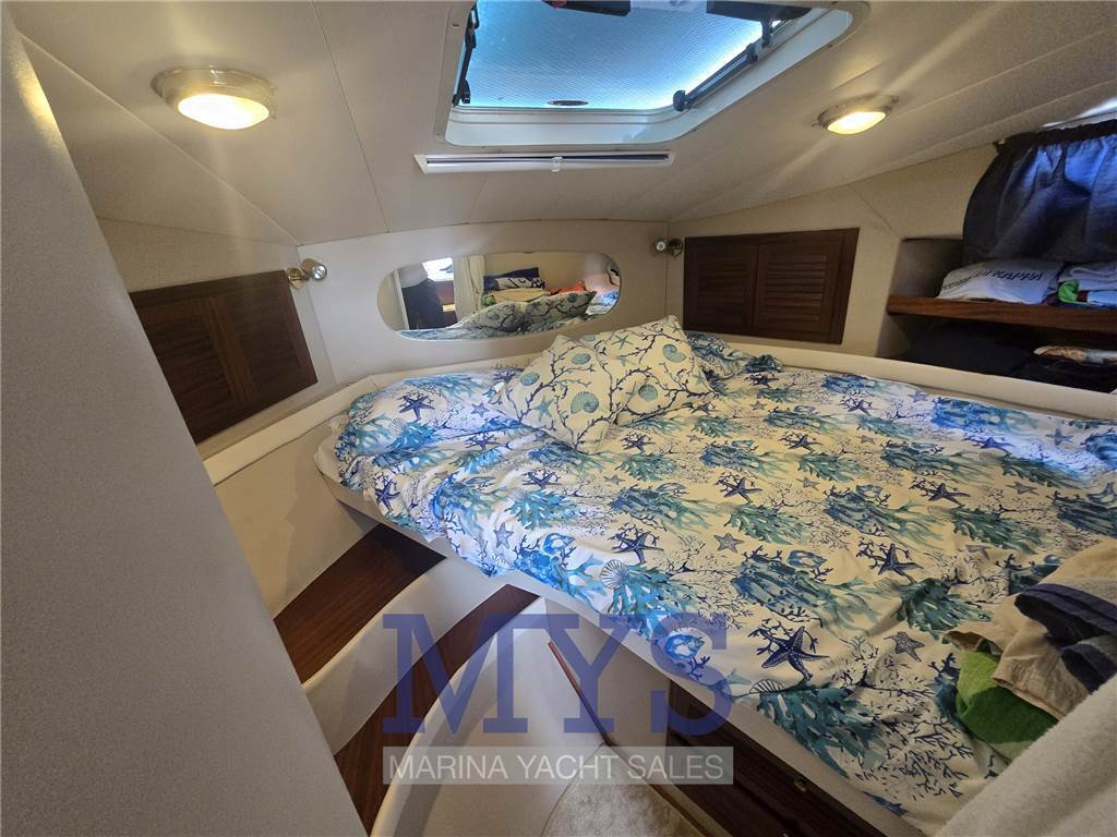 Space 310 Cruiser Used 2007 - Photo 10