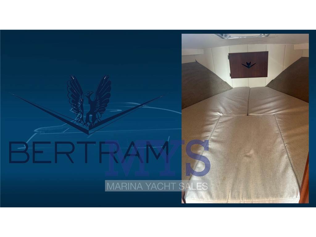 Bertram Yacht 28 Fly Usata 1981 - Foto 17