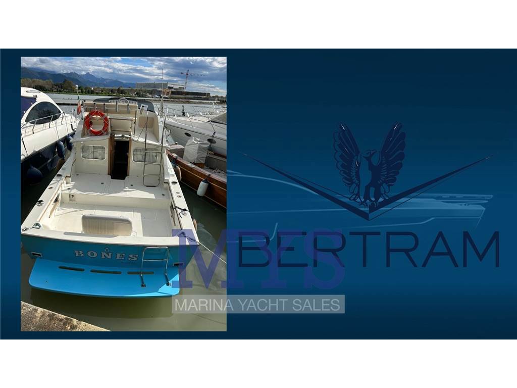 Bertram Yacht 28 Fly Usata 1981 - Foto 9