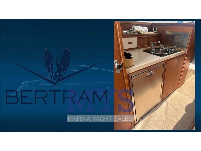Bertram Yacht 28 Fly Foto 16