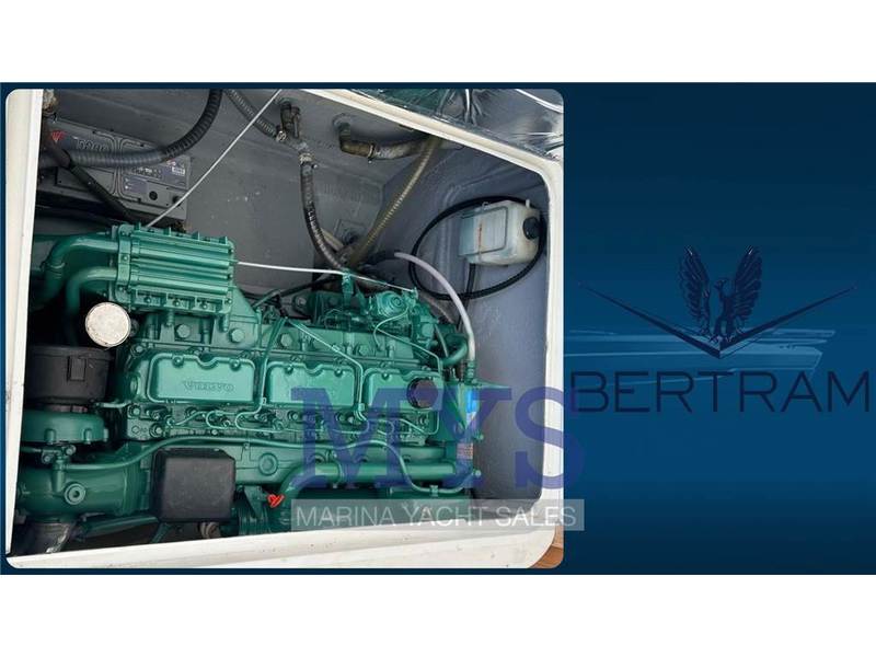 Bertram Yacht 28 Fly Foto 19