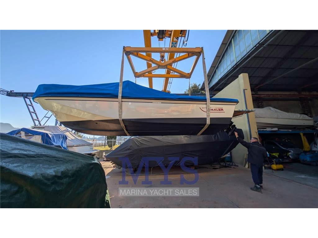 Boston Whaler 22 Outrage Usata 1988 - Foto 1