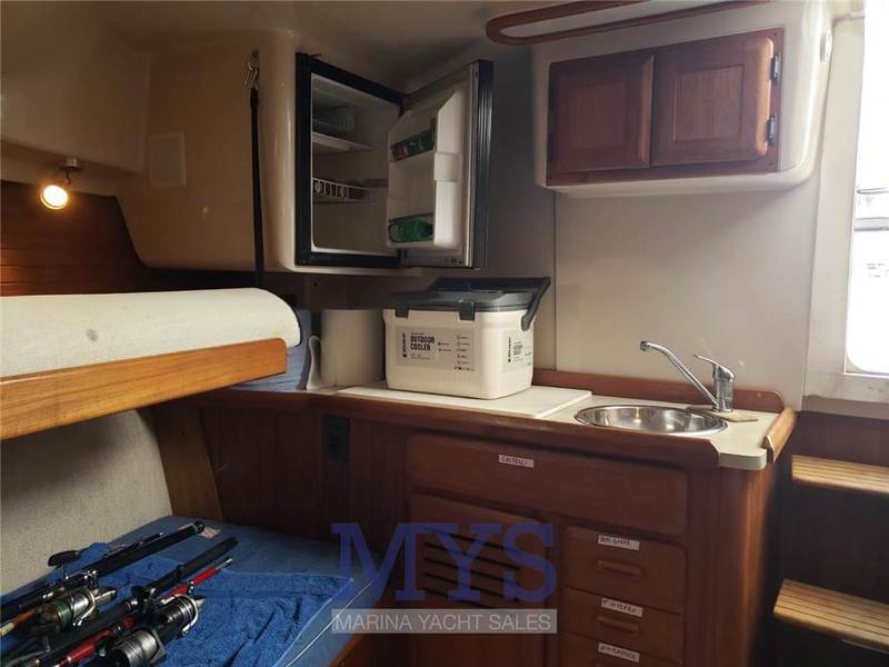 Luhrs Tournament 290 Open Foto 18